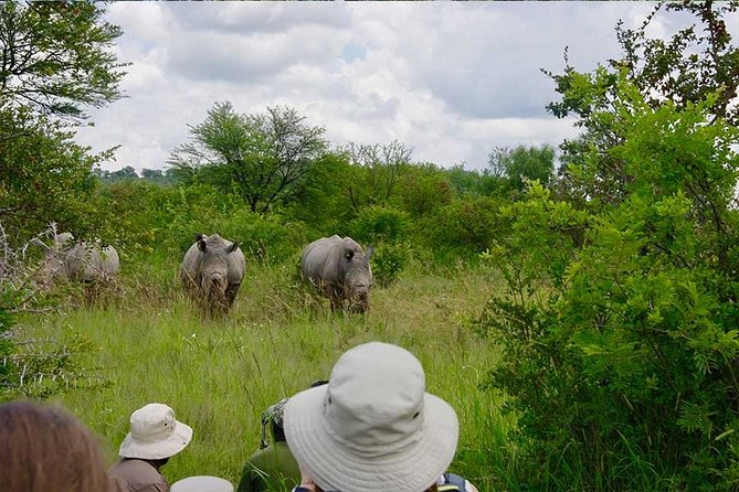 10 Day Zimbabwe and Chobe NP Tour - Key points to know before booking