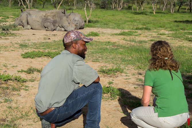10 Day Zimbabwe and Chobe NP Tour - Day 3: Granite hills, rhinos, and Rhodes’s grave in Matobo