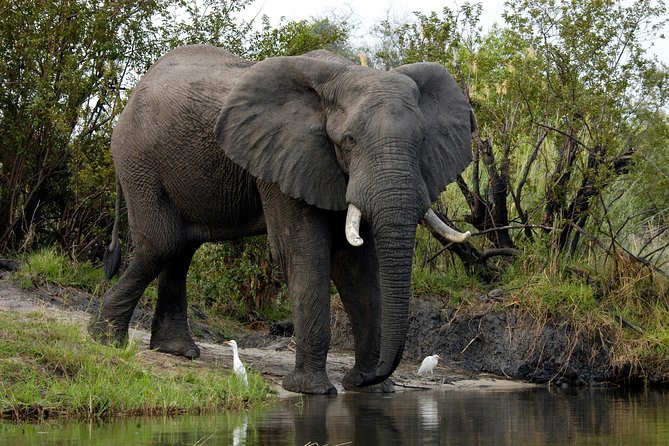 13 Days Best Of Zimbabwe - Gonarezhou, the Place of Elephants