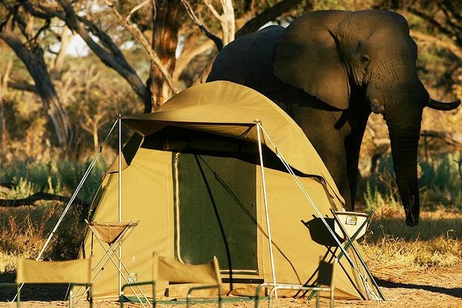 2-Day Camping Safari in Chobe National Park from Victoria Falls - Leaving Victoria Falls at 7:30 a.m.