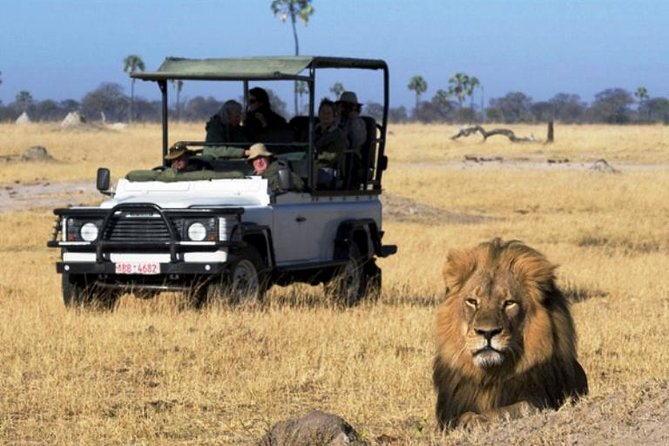 2-Day Camping Safari in Chobe National Park from Victoria Falls - Game Drives Through Chobe National Park