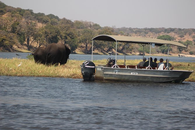 2-Day Camping Safari in Chobe National Park from Victoria Falls - Is $525 Good Value?