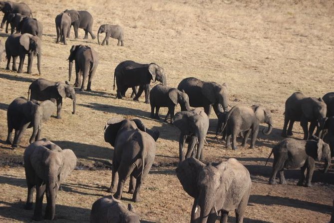 2-Day Camping Safari in Chobe National Park from Victoria Falls - Weather, Clothing, and Border Tips