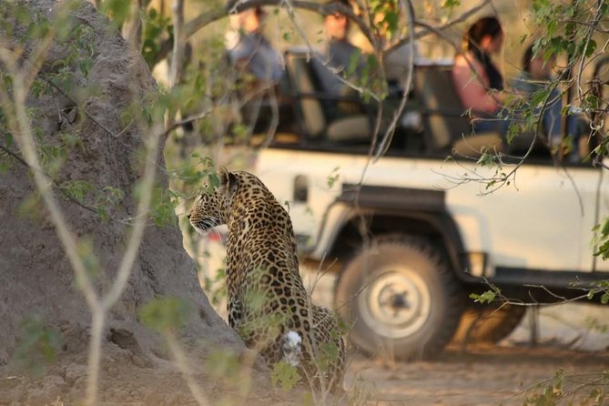 2-Day Camping Safari in Chobe National Park from Victoria Falls - Who Should Book This Two-Day Safari?
