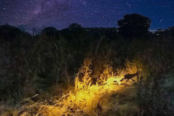 2 Hour Stargazing Tour in Victoria Falls NP Area in 4x4 - Zambezi National Park and the reality of wild animals