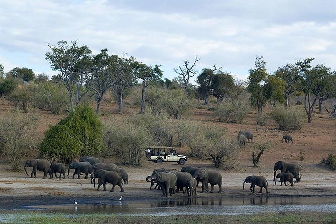 3 Day Chobe National Park Camping Safari - Guides, communication, and group size