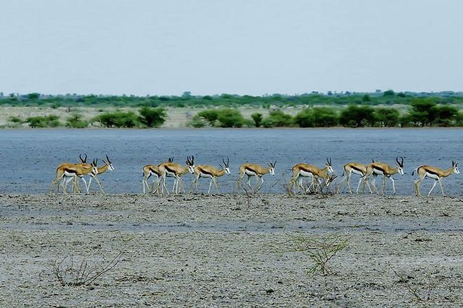 3 Day Chobe National Park Camping Tour - Day one: from Victoria Falls to Chobe