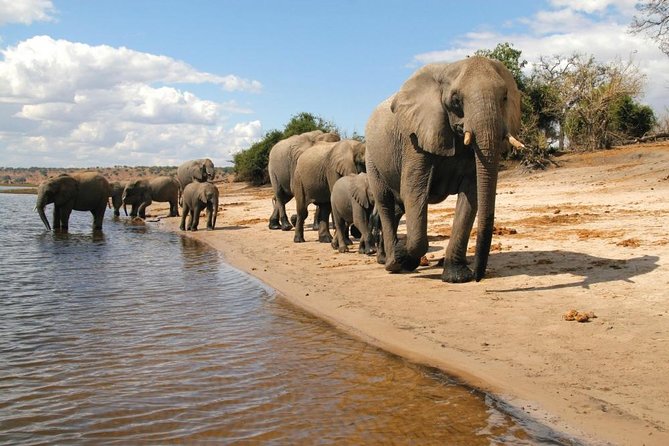 3 Day Chobe National Park Camping Tour - Meals and the daily camp routine
