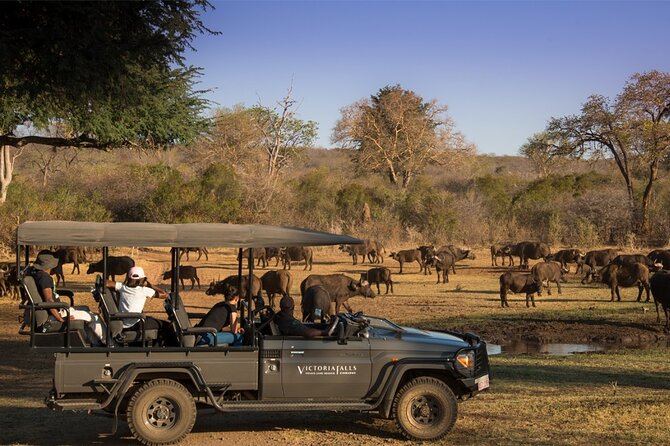 3-Day Victoria Falls Safari with Dinner Cruise - What the guide team adds to the experience