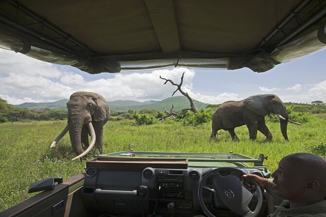 3-Day Victoria Falls Safari with Dinner Cruise - Who will appreciate this package most