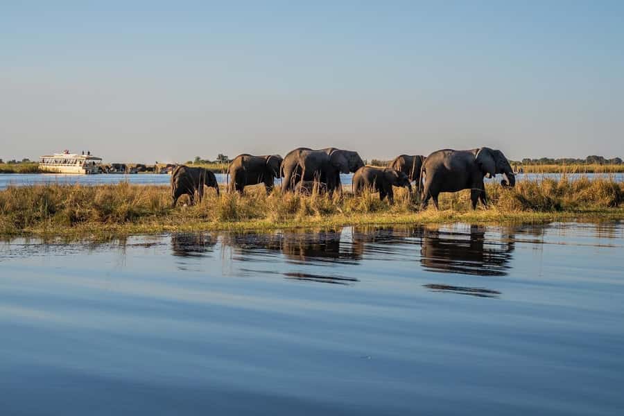 3 Days Explore Zambia, Zimbabwe and Chobe Park in Botswana - Day two: Mukuni Village and Zimbabwe’s wider waterfall views