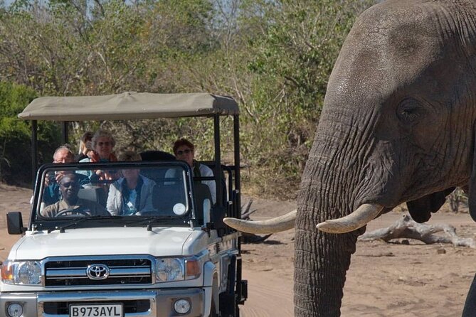 3 Days in Victoria Falls & Chobe National Park Combo - Day one: Victoria Falls through the Zimbabwe rainforest