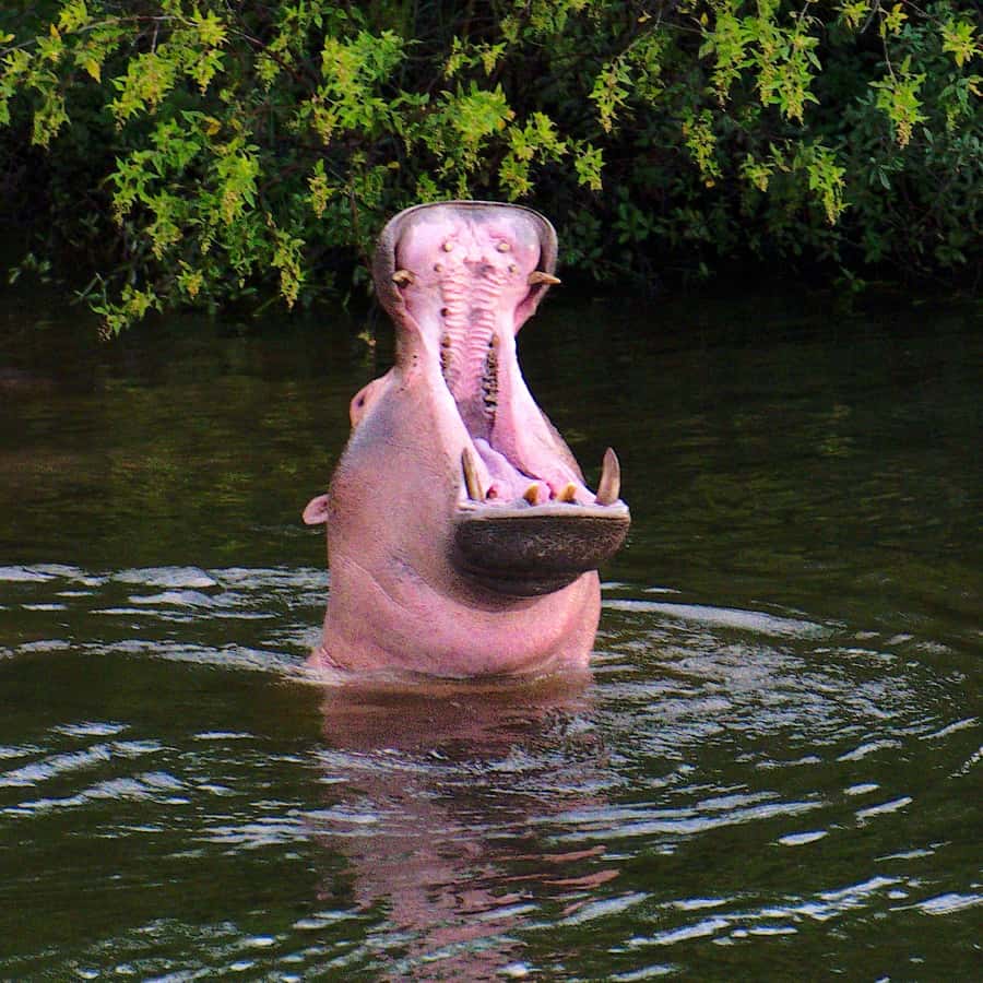 3 Days Victoria Falls and Full day Chobe National Park - What the three days are really like