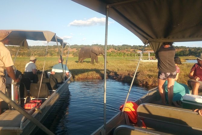 4-Day Discover Victoria Falls, Chobe and Hwange Park - Day 3: Hwange brings a long Zimbabwe safari day
