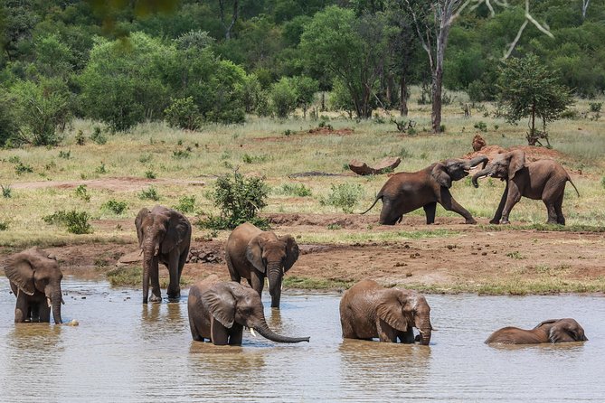 4-Day Discover Victoria Falls, Chobe and Hwange Park - Day 4: A short departure window in Victoria Falls