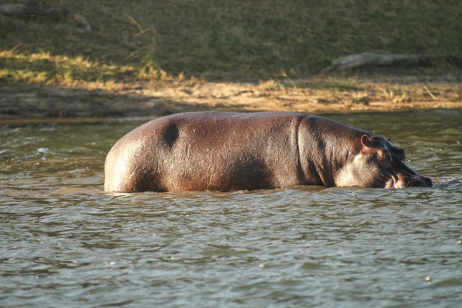 4-Day Discover Victoria Falls, Chobe and Hwange Park - What the $1,040 price really buys