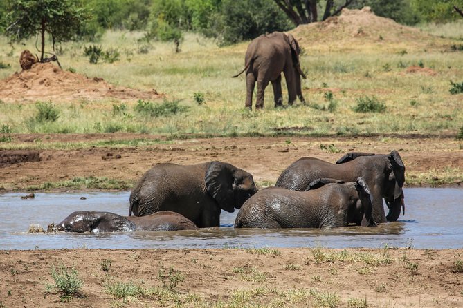 4-Day Discover Victoria Falls, Chobe and Hwange Park - Who should book this trip?