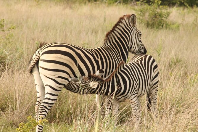 4 Days Victoria Falls Safari Tour & Chobe National Park game drive - Day one: sunset on the Zambezi River