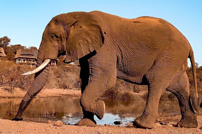 4 Days Victoria Falls Safari Tour & Chobe National Park game drive - What the $1,850 price really covers