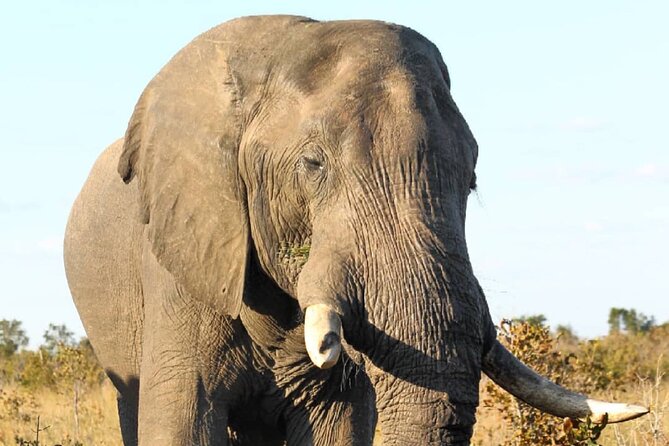 4 Days Victoria Falls Safari Tour & Chobe National Park game drive - Day two: Victoria Falls from the air and on foot