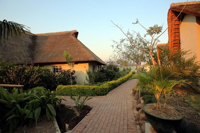 4 Days Victoria Falls Zimbabwe with Chobe National Park Safari Botswana and Livingstone Zambia - Day three: Chobe River safari by boat