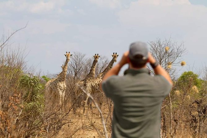 4 Days Victoria Falls Zimbabwe with Chobe National Park Safari Botswana and Livingstone Zambia - Is $1,200 good value?