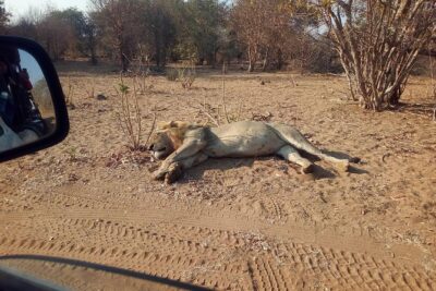 5-Day Explore Zimbabwe, Zambia and Botswana