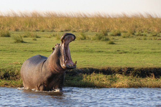 5-DAY Victoria Falls and Chobe National Park - Key details at a glance