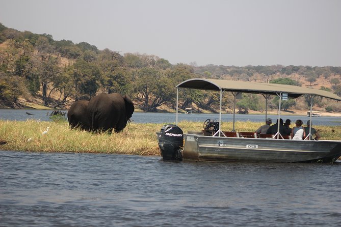 5-DAY Victoria Falls and Chobe National Park - Day 3: Chobe by boat and 4x4
