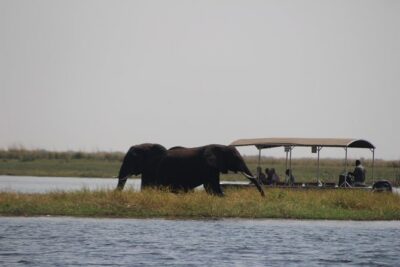 5-DAY Victoria Falls and Chobe National Park