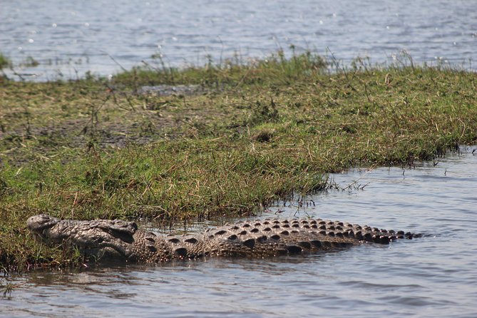 5-DAY Victoria Falls and Chobe National Park - Day 4: Make the free day count