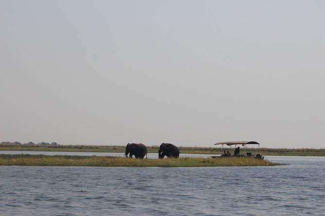 5-DAY Victoria Falls and Chobe National Park - Hotel, guiding, and group size