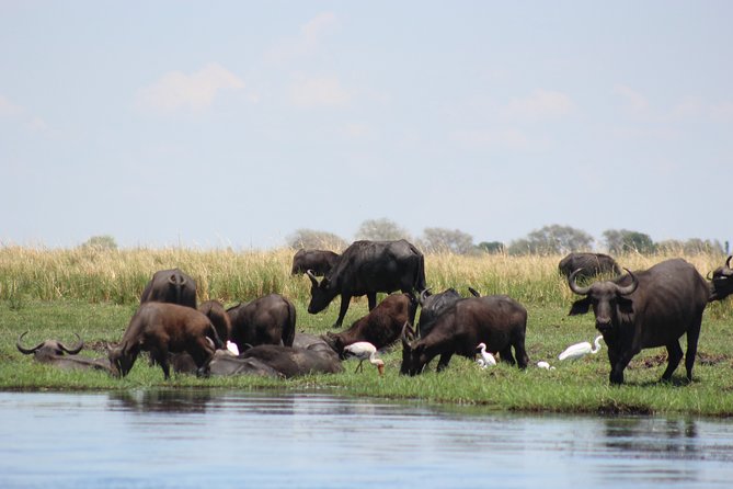 5-DAY Victoria Falls and Chobe National Park - What the price includes, and what it does not