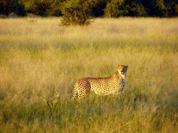 5 Day Victoria Falls and Chobe National Park Camping Tour - Day 5: Returning toward Victoria Falls