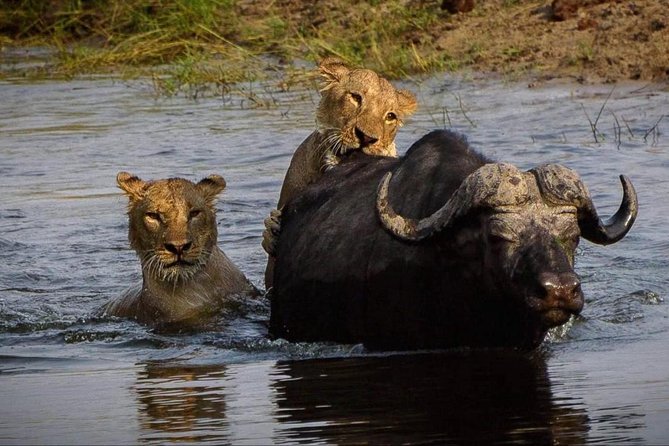 5 Day Victoria Falls and Chobe National Park Camping Tour - What the $2,000 price really covers