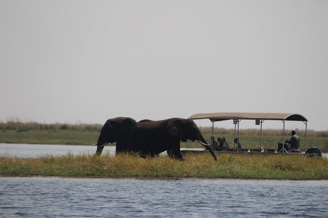 5-DAY Victoria Falls and Chobe National Park - Day 2: Victoria Falls and a working village