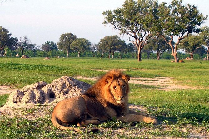5 Day Victoria Falls and Hwange National Park Accommodated Safari Tour - Group size, timing, and practical comfort