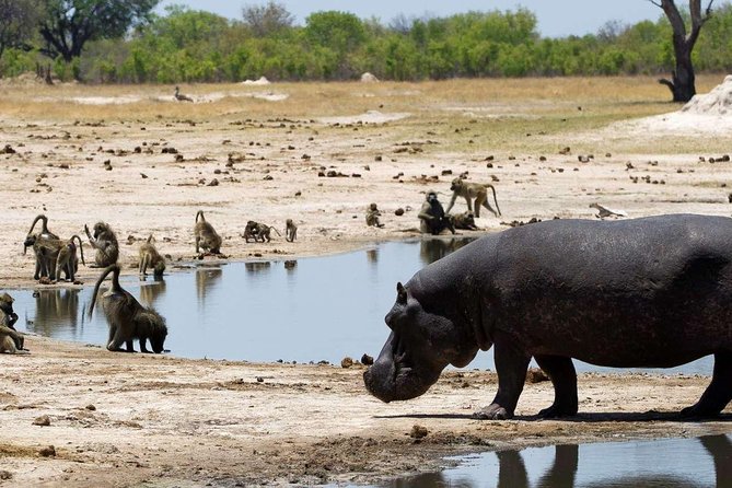 5 Day Victoria Falls and Hwange National Park Accommodated Safari Tour - Day 2: Victoria Falls, one of the world’s great sights