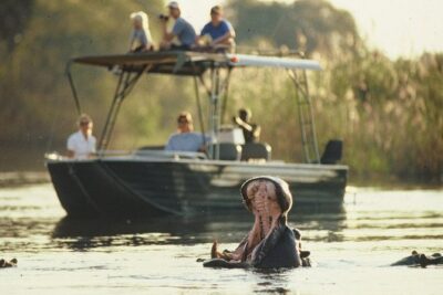 6-day Hwange, Chobe & Victoria Falls Combo