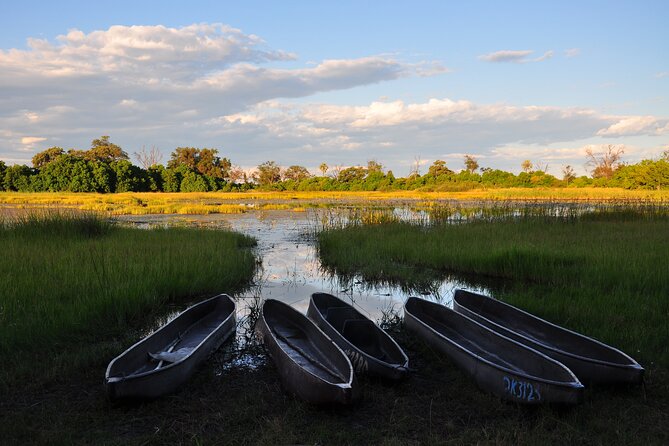 6 Days Victoria Falls Chobe Wildlife and Okavango Delta Tour - Key things to know before booking