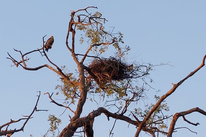 6 Days Victoria Falls Chobe Wildlife and Okavango Delta Tour - Why this route works for a six-day safari