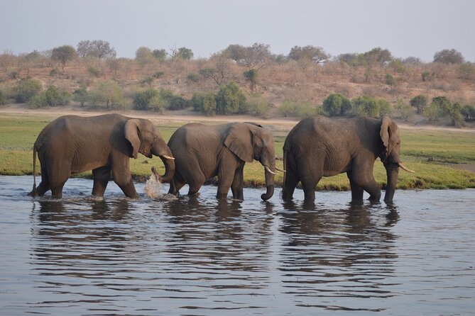 6 Days Victoria Falls Chobe Wildlife and Okavango Delta Tour - Day 3: The long road to the Makgadikgadi Salt Pan