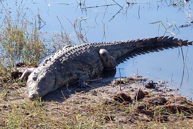 6 Days Victoria Falls Chobe Wildlife and Okavango Delta Tour - Day 4: Through Makgadikgadi National Park to Maun