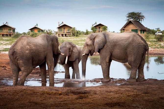 7 Day Highlights Of Botswana Overland Tour – ACCOMODATED (midrange) - Key points to know before booking