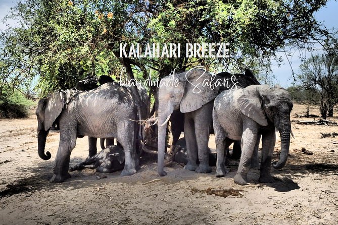 7 Day Highlights Of Botswana Overland Tour – ACCOMODATED (midrange) - Day 3: Chobe elephants and the waterhole at Elephant Sands