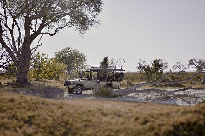 8 Day Chobe NP, Elephant Sands, Okavango Delta & Victoria Falls - Key points to know before booking