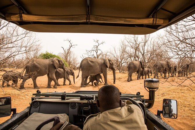 8 Day Chobe NP, Elephant Sands, Okavango Delta & Victoria Falls - Day 8: Departure from Maun