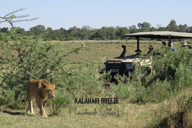 8 Day Highlights Of Botswana & Victoria Falls Overland Tour - Day 3: Chobe game drive and Elephant Sands