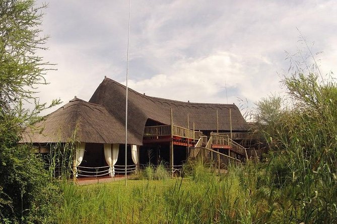 8 Day Highlights Of Botswana & Victoria Falls Overland Tour - Day 5: Meerkats and the first mokoro ride