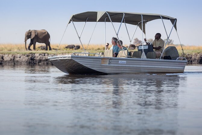 A 2 Day Victoria Falls & Chobe Safari Combo - The Victoria Falls Bridge and its high-wire option